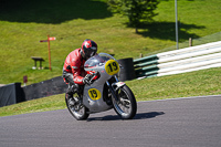Vintage-motorcycle-club;eventdigitalimages;mallory-park;mallory-park-trackday-photographs;no-limits-trackdays;peter-wileman-photography;trackday-digital-images;trackday-photos;vmcc-festival-1000-bikes-photographs